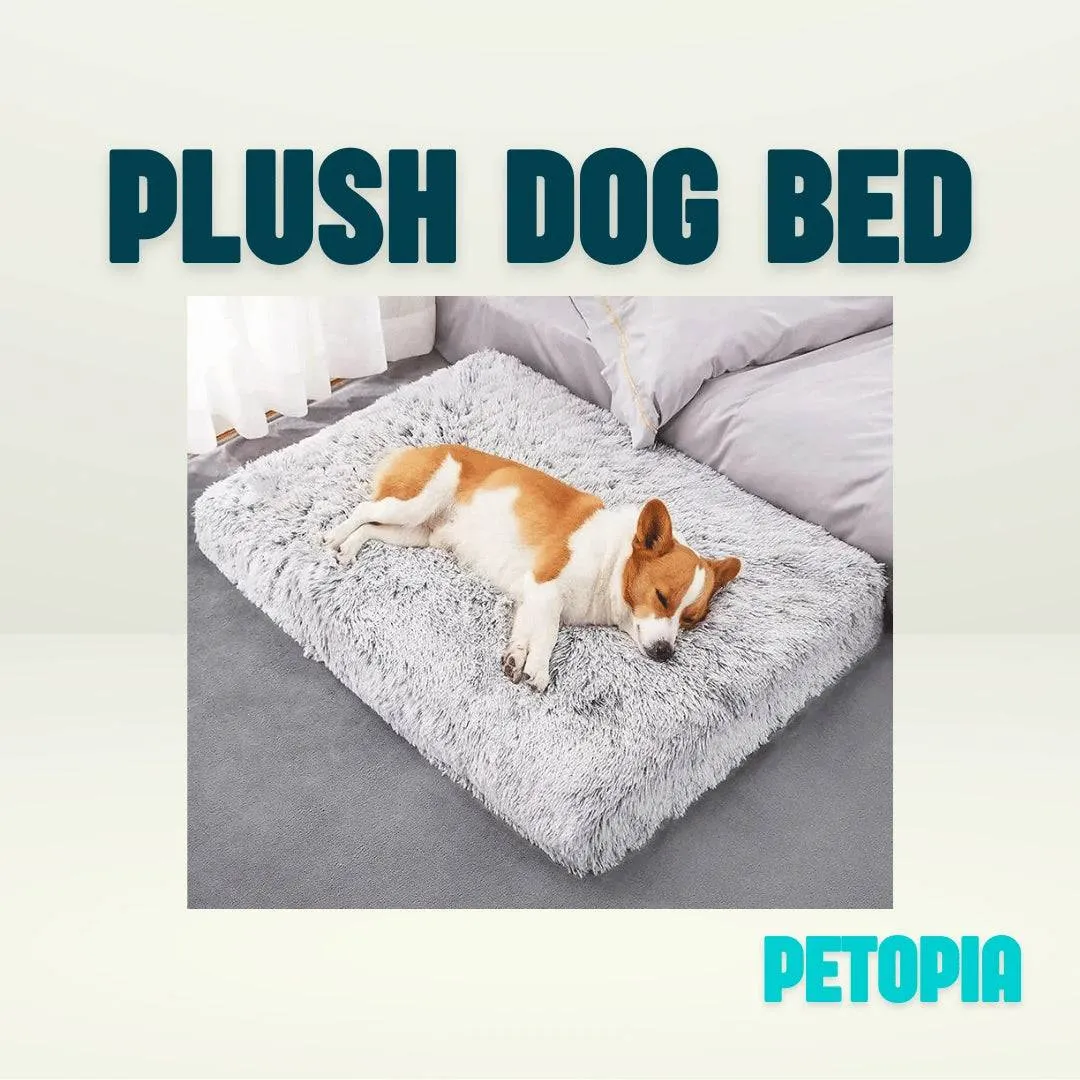 Plush Dog Bed