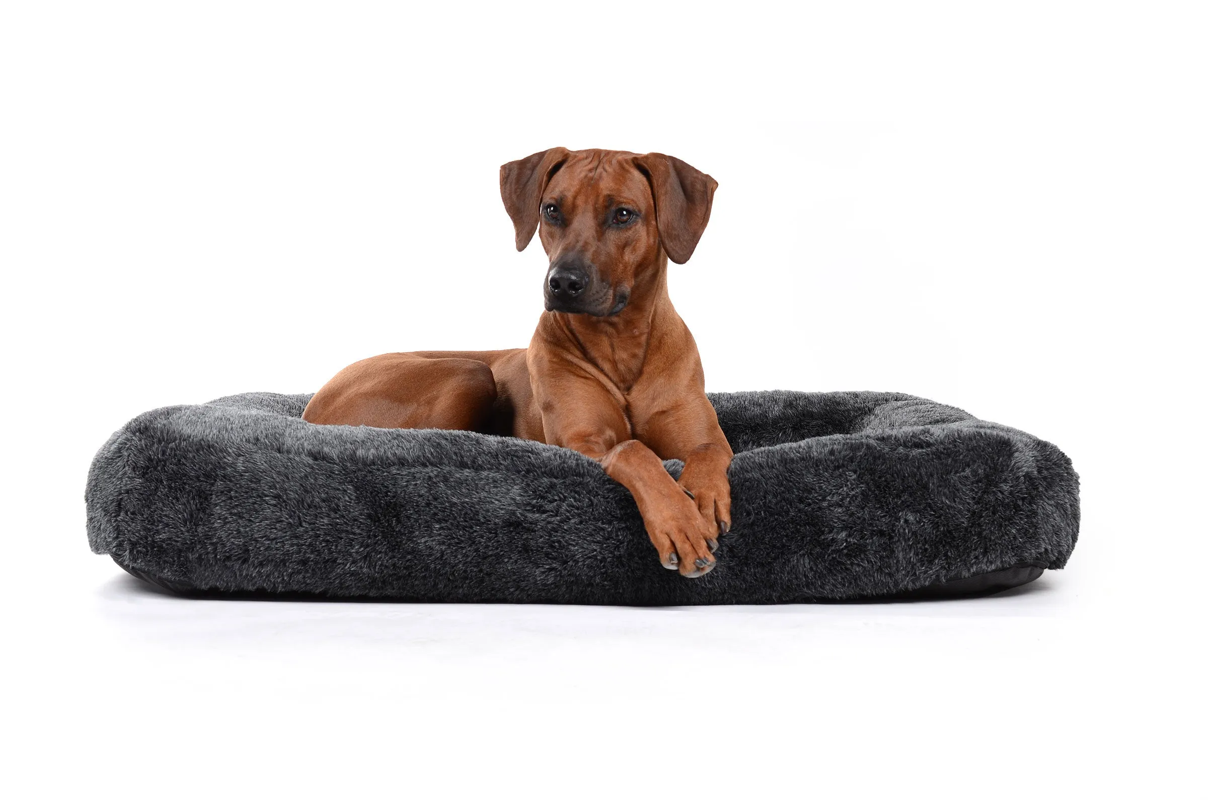 Spring Faux Fur Dog Bed