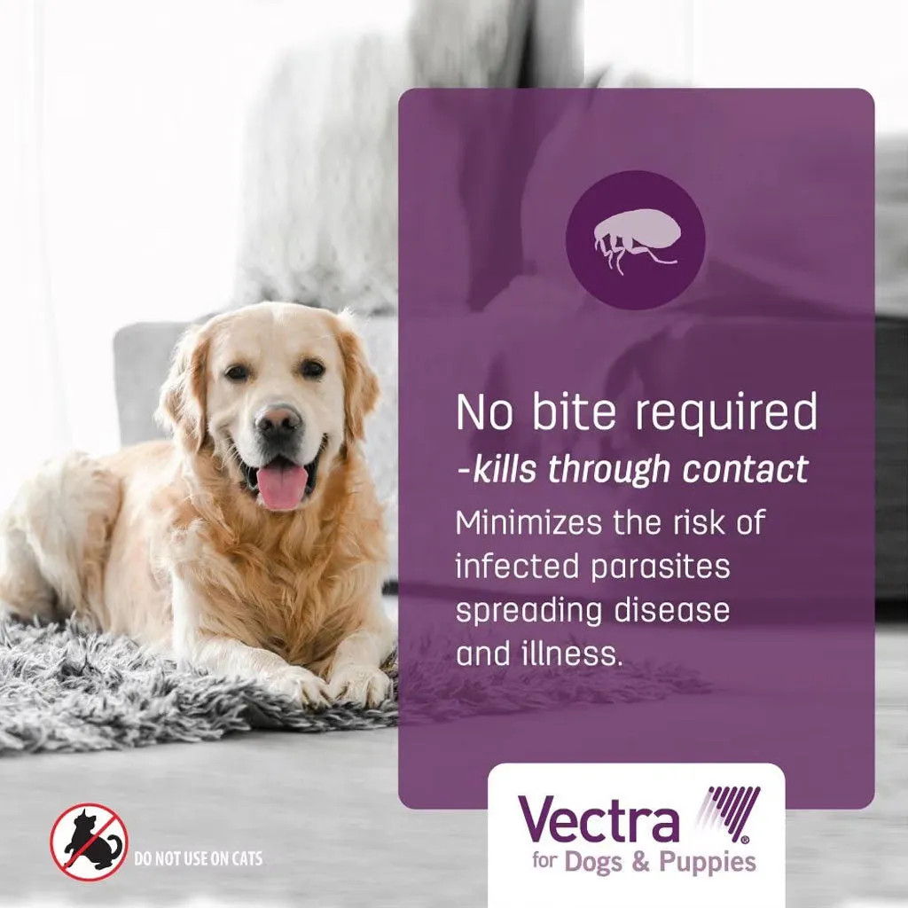Vectra Flea and Tick Spot Treatment for Small Dogs & Puppies, 11-20 lbs