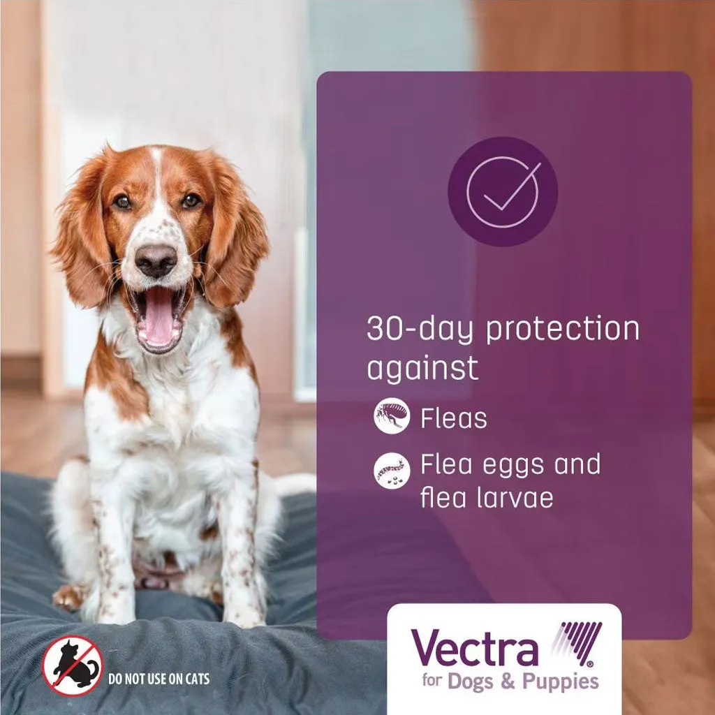 Vectra Flea and Tick Spot Treatment for Small Dogs & Puppies, 11-20 lbs