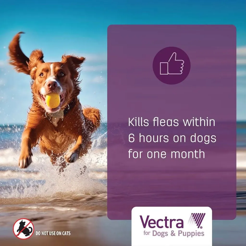 Vectra Flea and Tick Spot Treatment for Small Dogs & Puppies, 11-20 lbs
