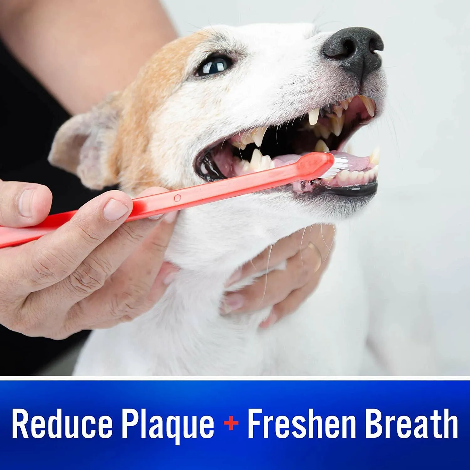Virbac C.E.T. Enzymatic Toothpaste for Dogs & Cats, 2.5 oz - Vanilla Mint Flavor