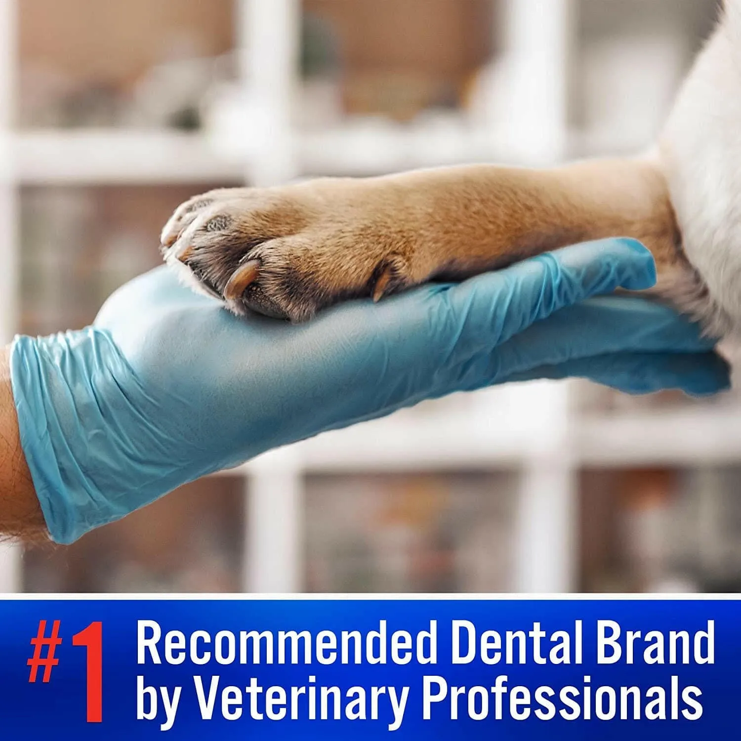 Virbac C.E.T. Enzymatic Toothpaste for Dogs & Cats, 2.5 oz - Vanilla Mint Flavor