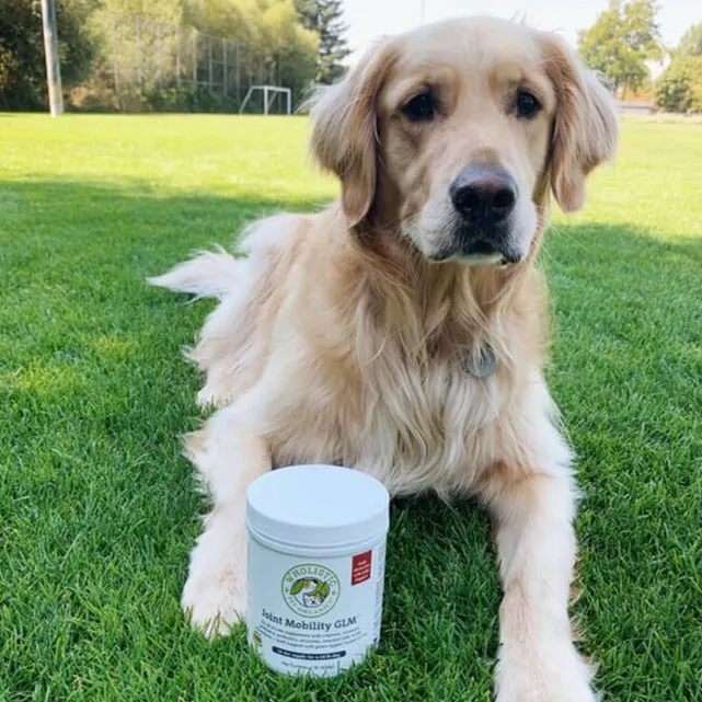 Wholistic Pet Organics Joint Mobility With Green Lipped Mussels For Dogs & Cats